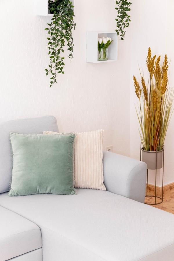 Apartament Piso En El Centro Torrevieja Zewnętrze zdjęcie